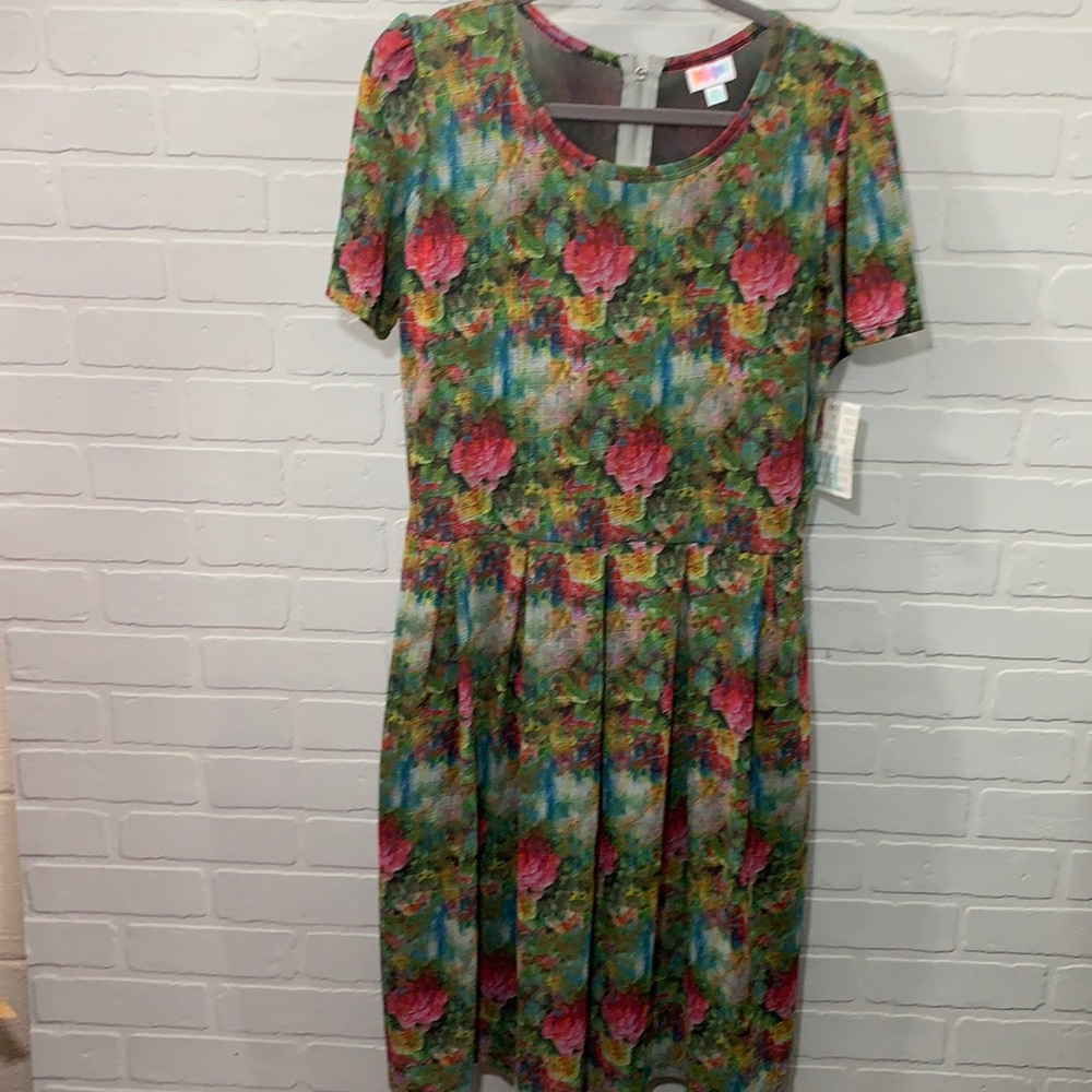 LuLaRoe NWT fit & flare Amelia pocket dress-size2X